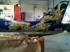 dragon6